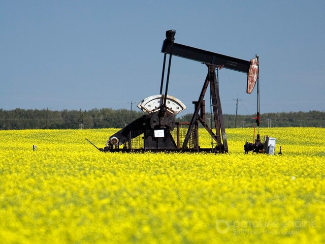 Bloomberg: аналитики назвали цену на нефть, которую не выдержит российская экономика